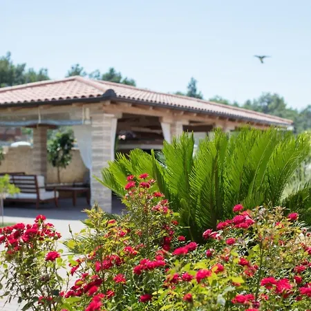 In With Sea View, Terrace, Air Conditioning, Wi-fi *